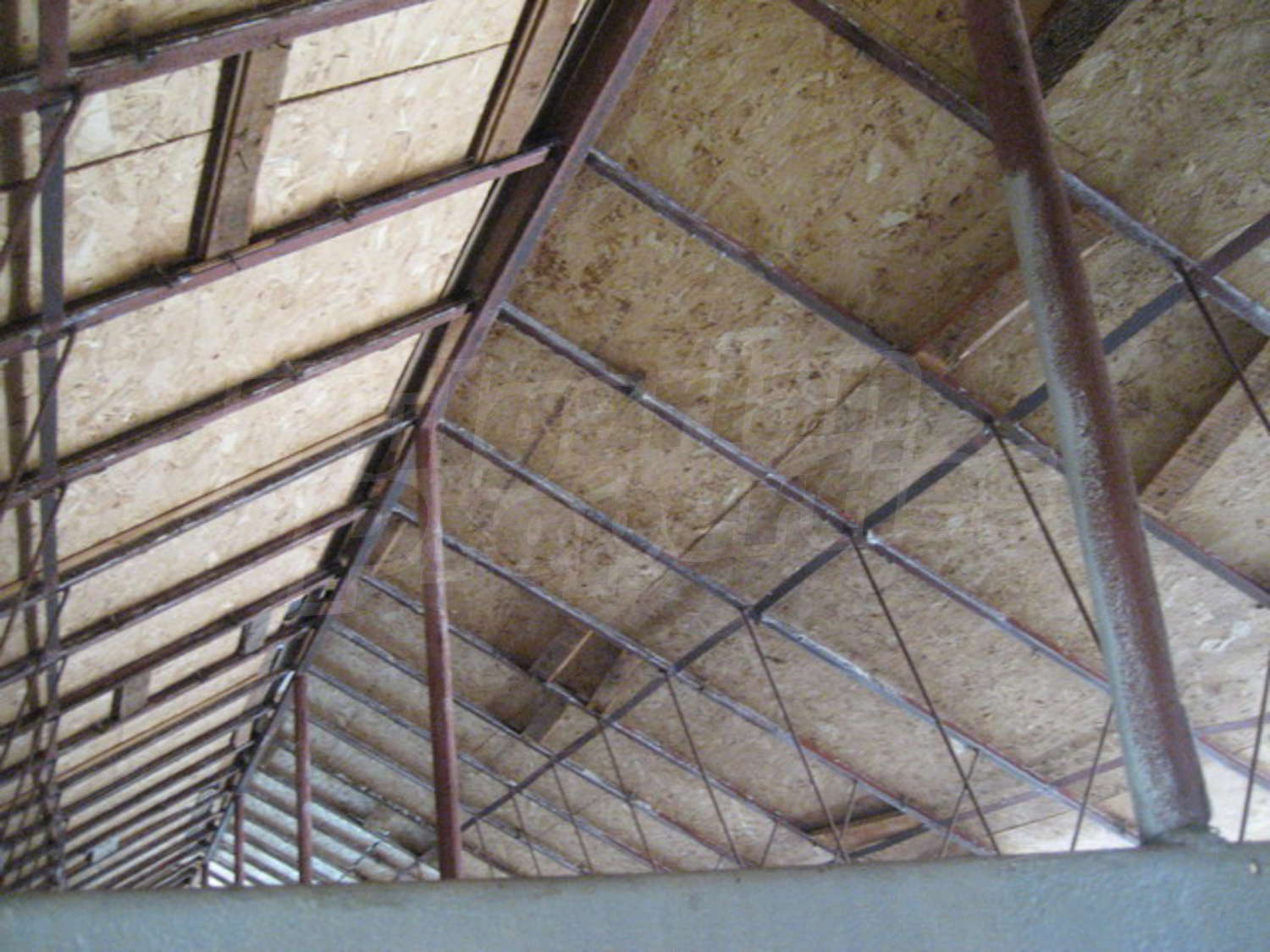 Gallery Picture 36