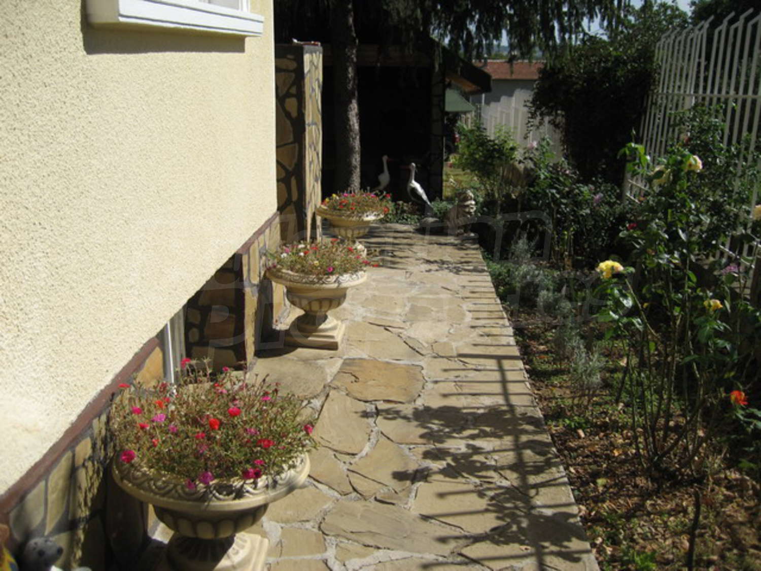 Gallery Picture 45