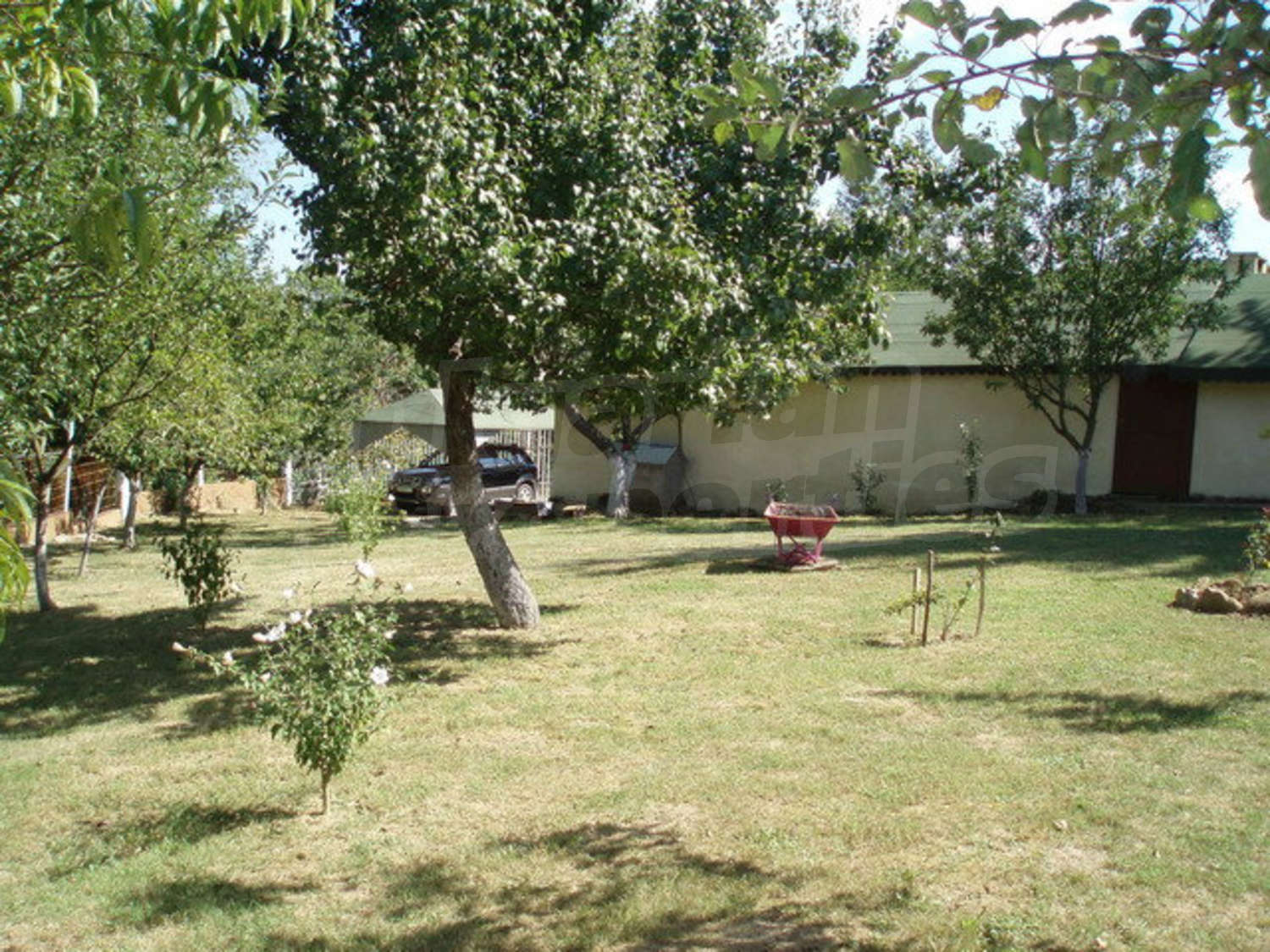 Gallery Picture 6