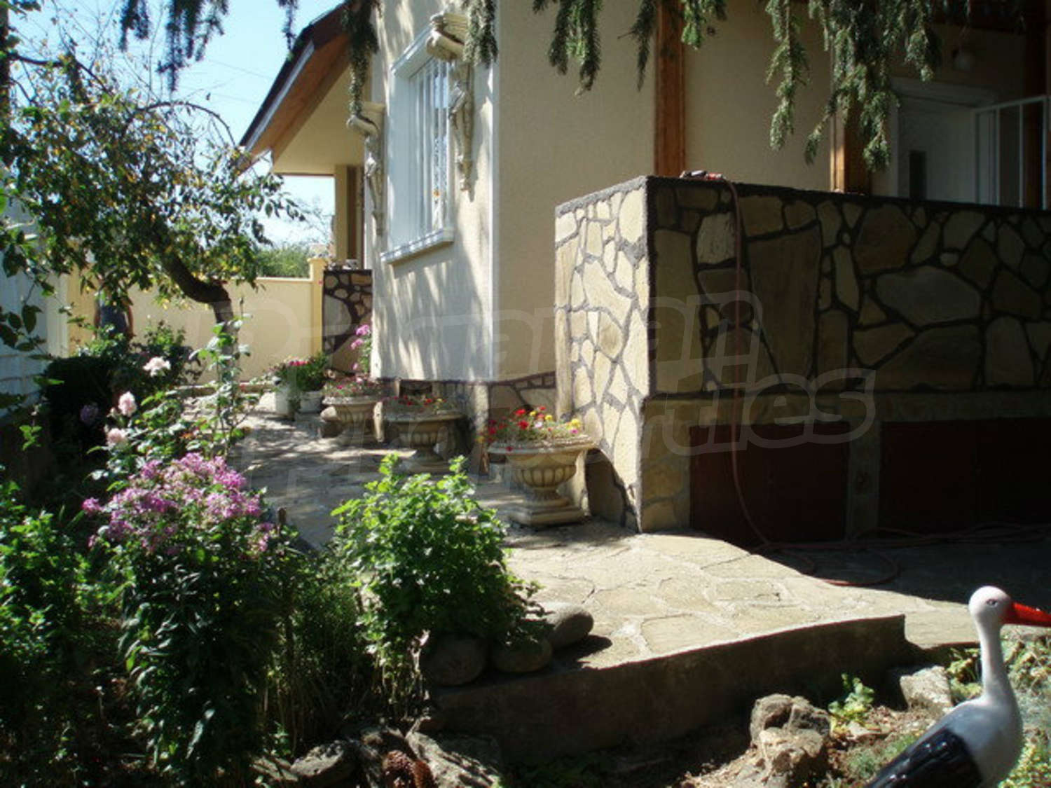 Gallery Picture 7