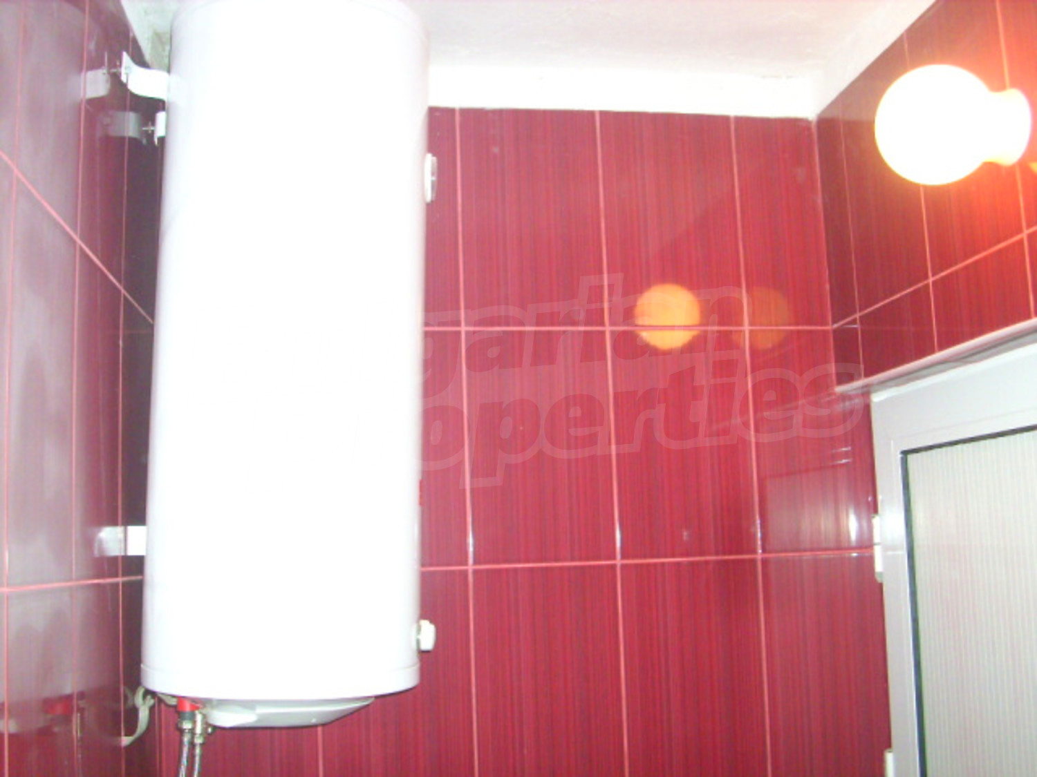 Gallery Picture 11