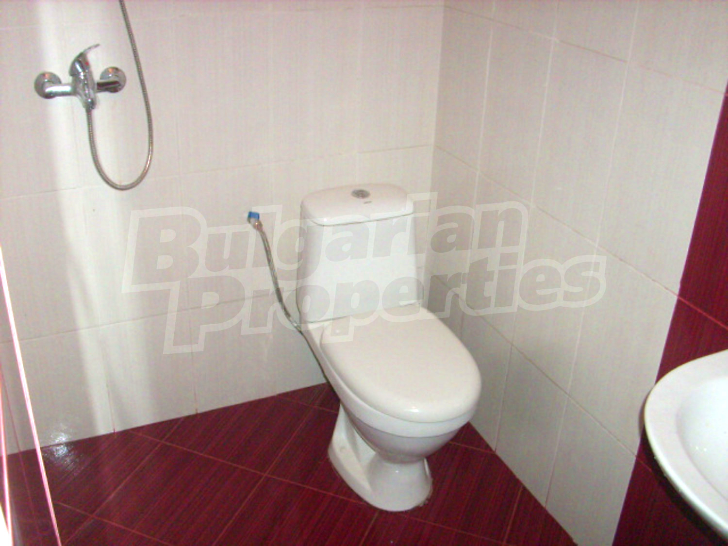 Gallery Picture 12