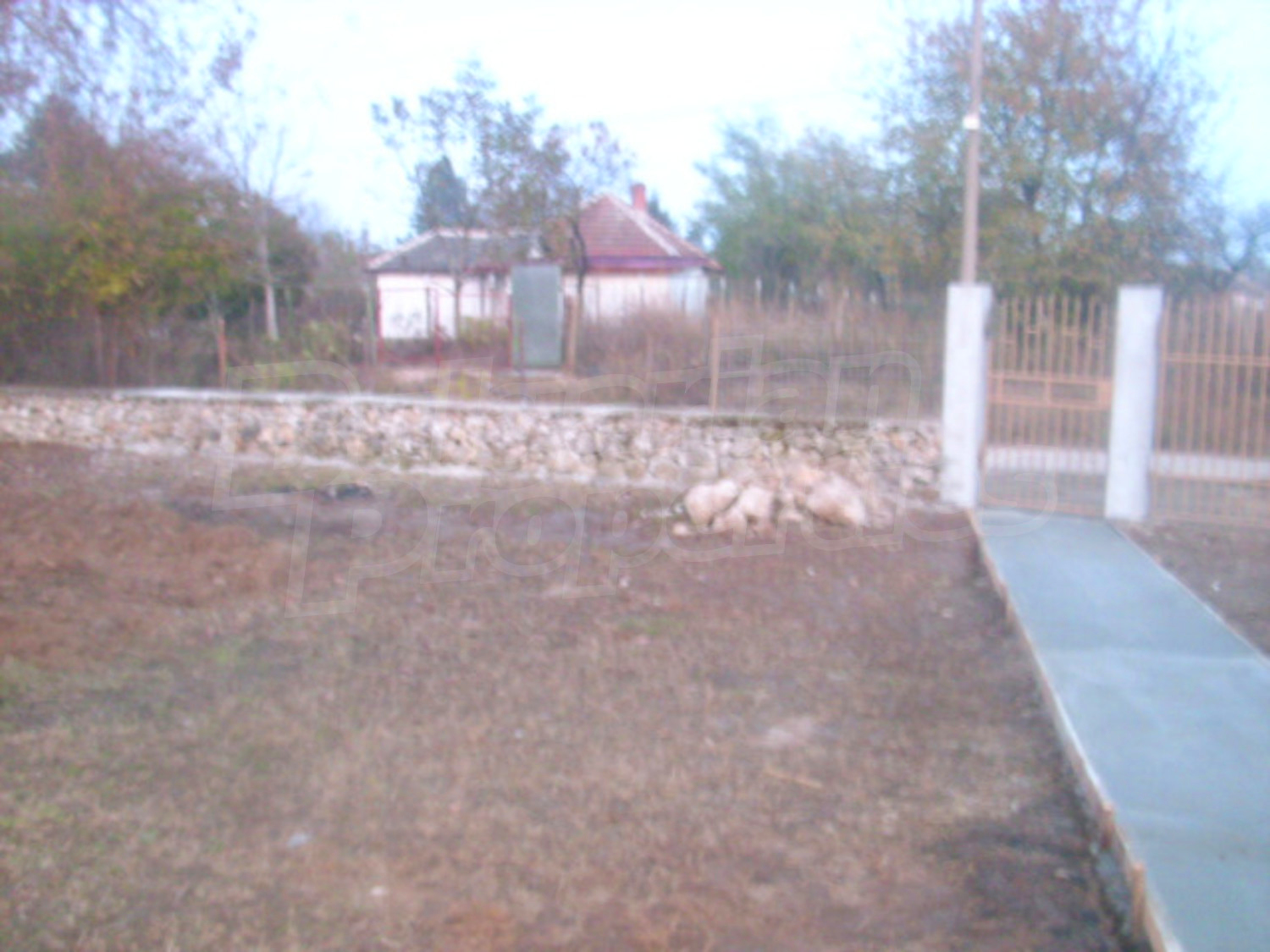 Gallery Picture 18