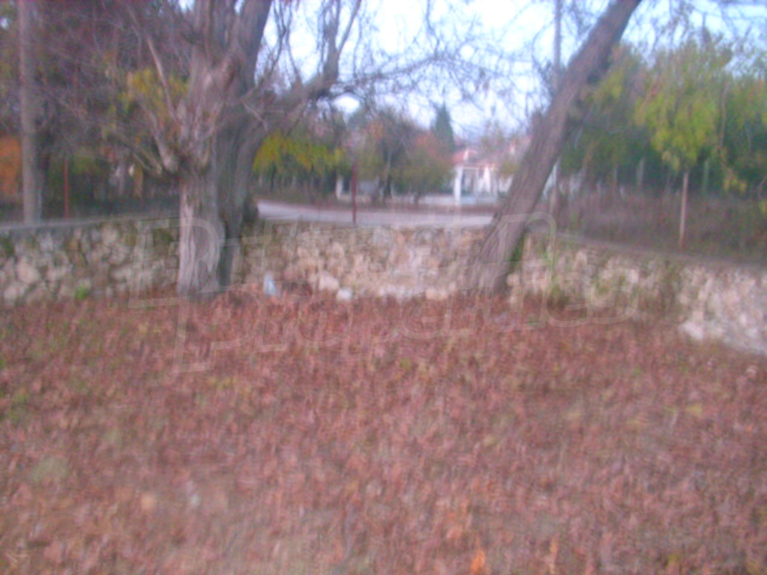 Gallery Picture 19