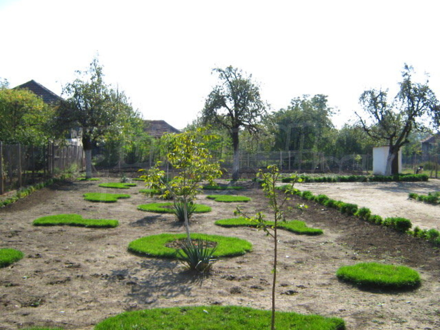 Gallery Picture 16