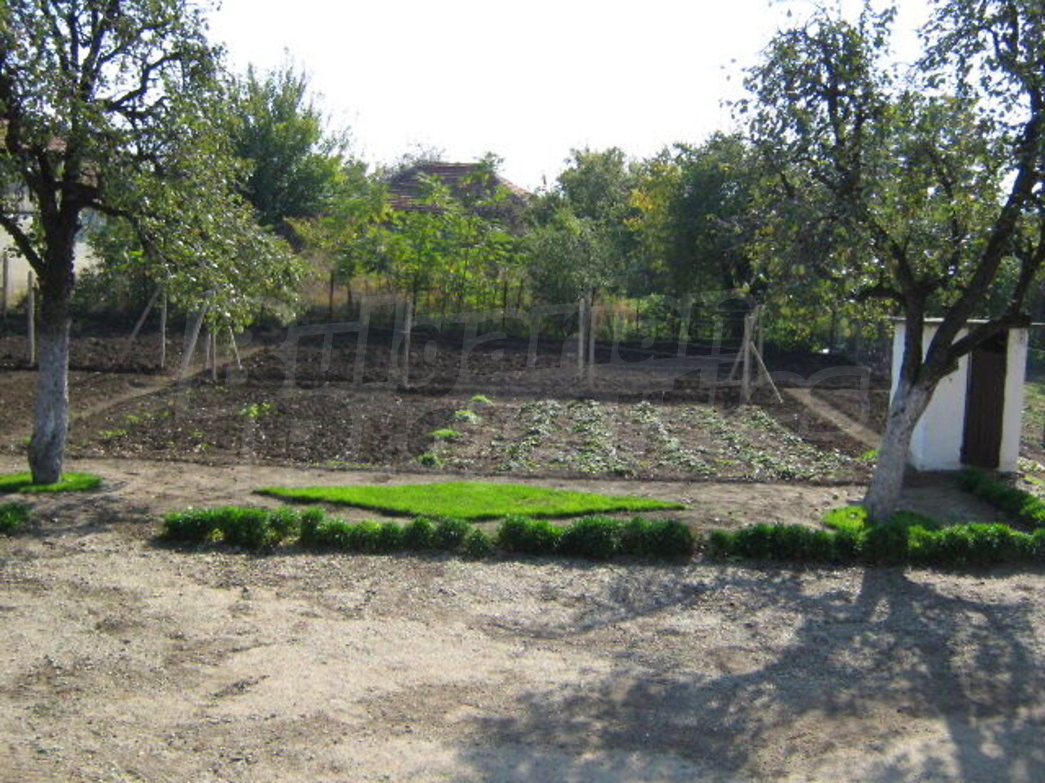 Gallery Picture 17