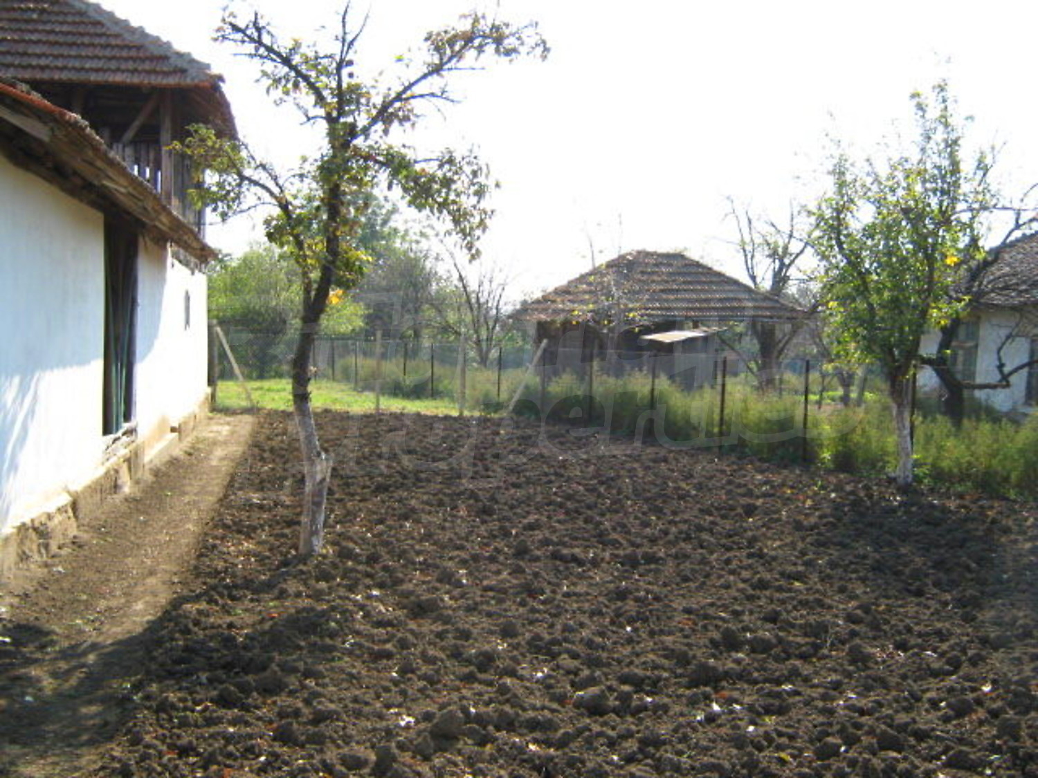 Gallery Picture 18