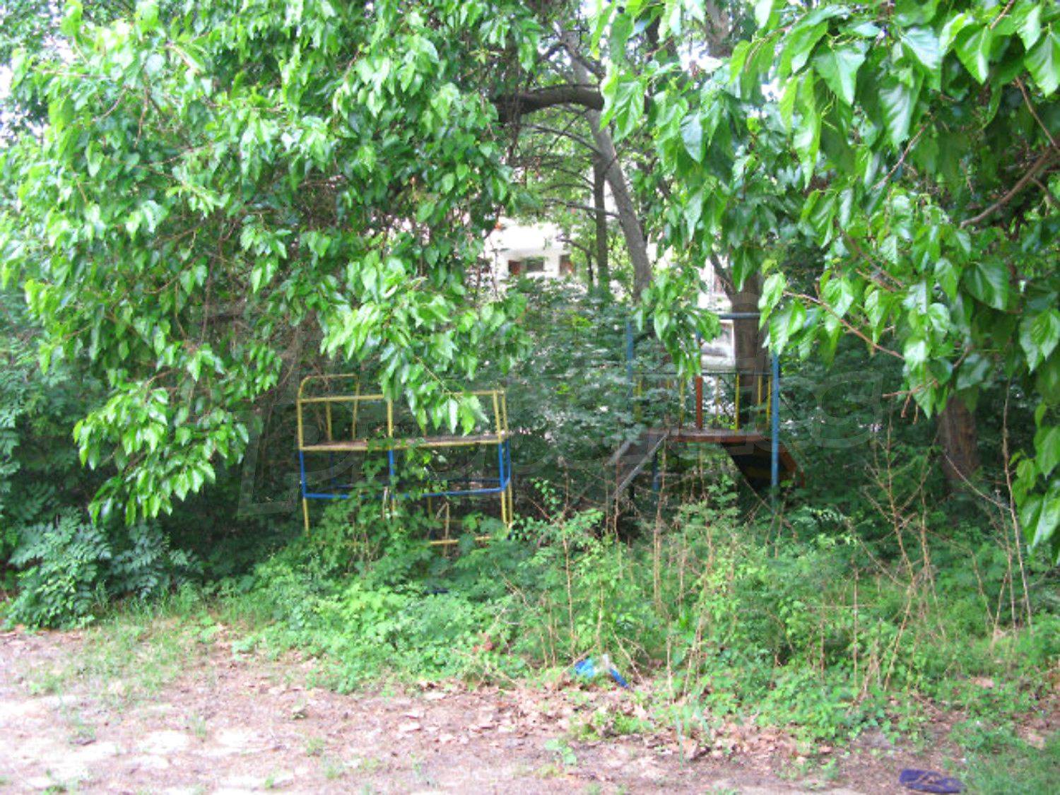 Gallery Picture 7