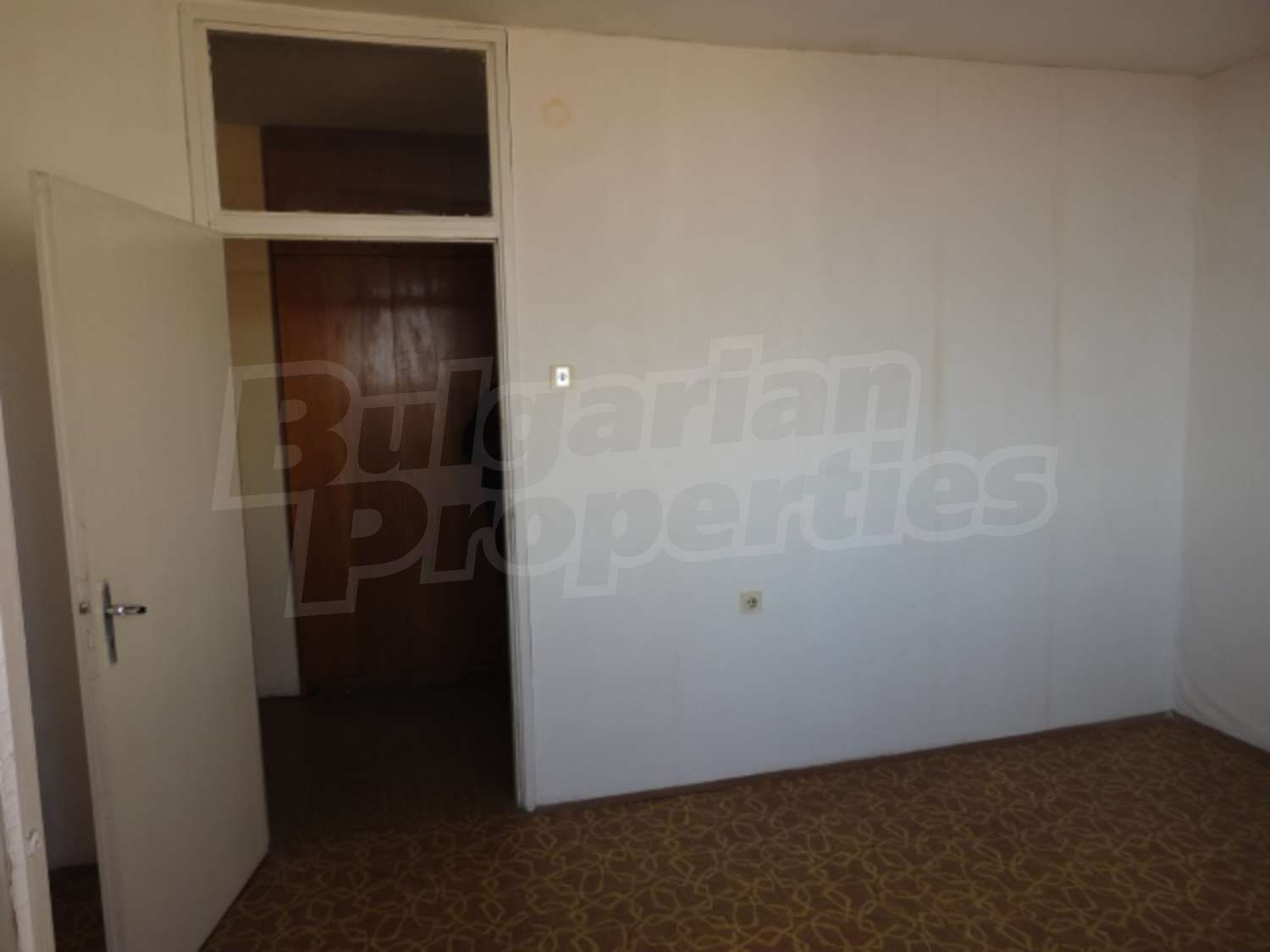 Gallery Picture 13