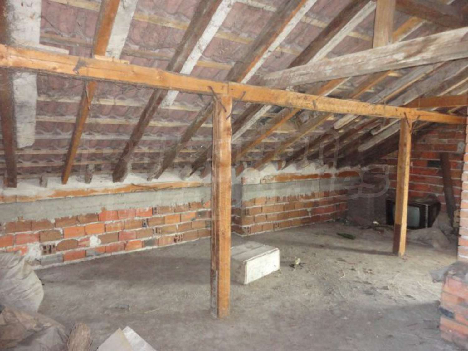 Gallery Picture 23