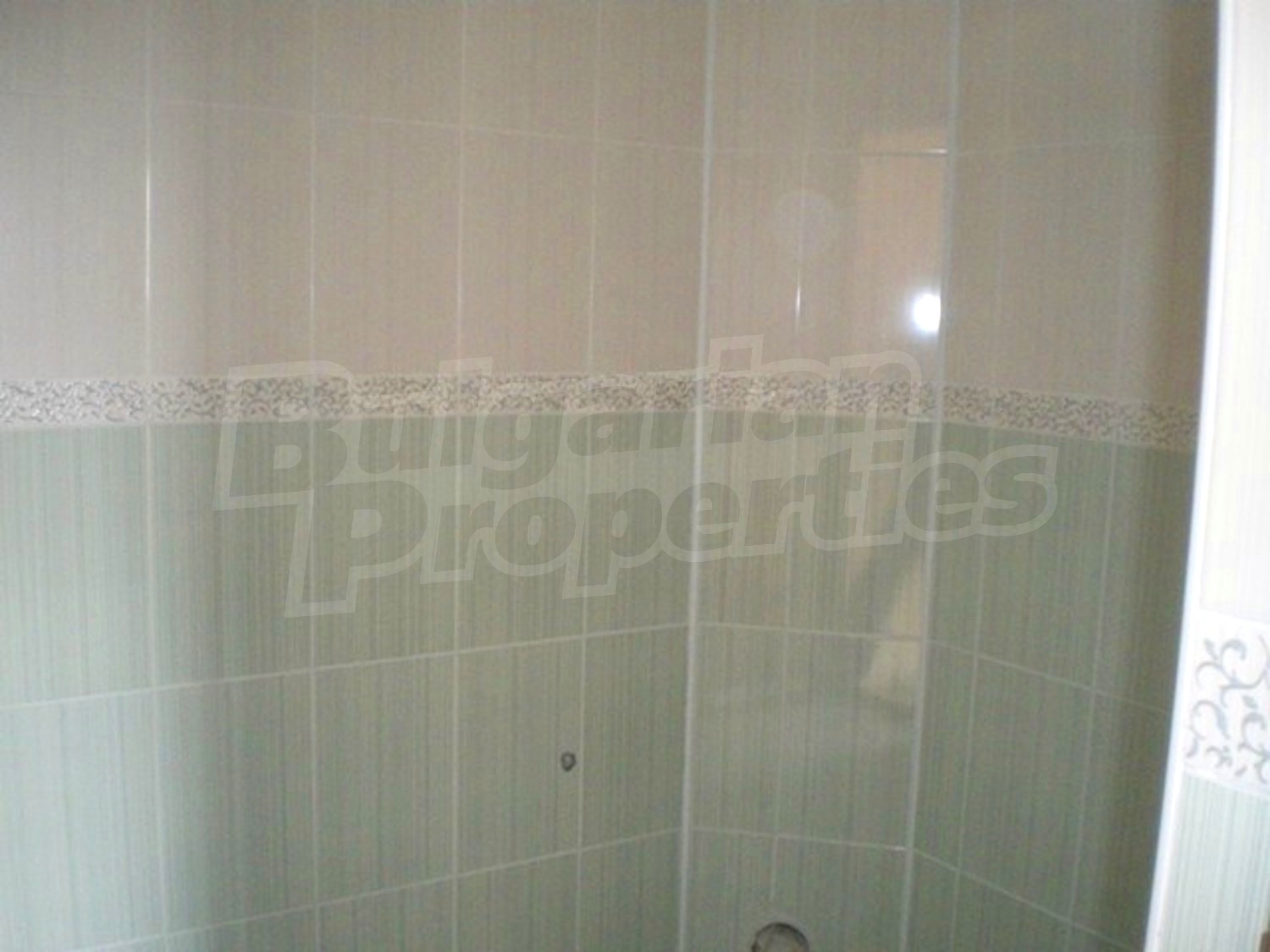 Gallery Picture 12