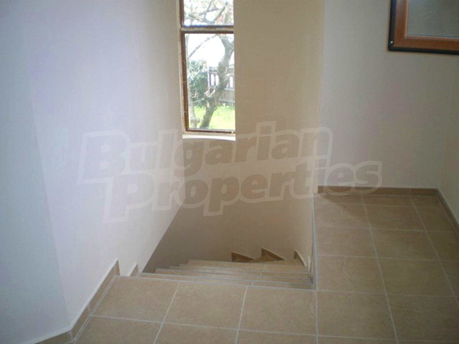 Gallery Picture 14