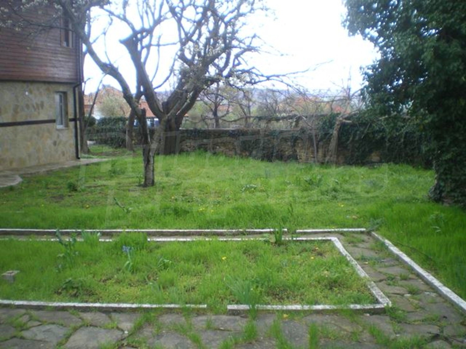Gallery Picture 17