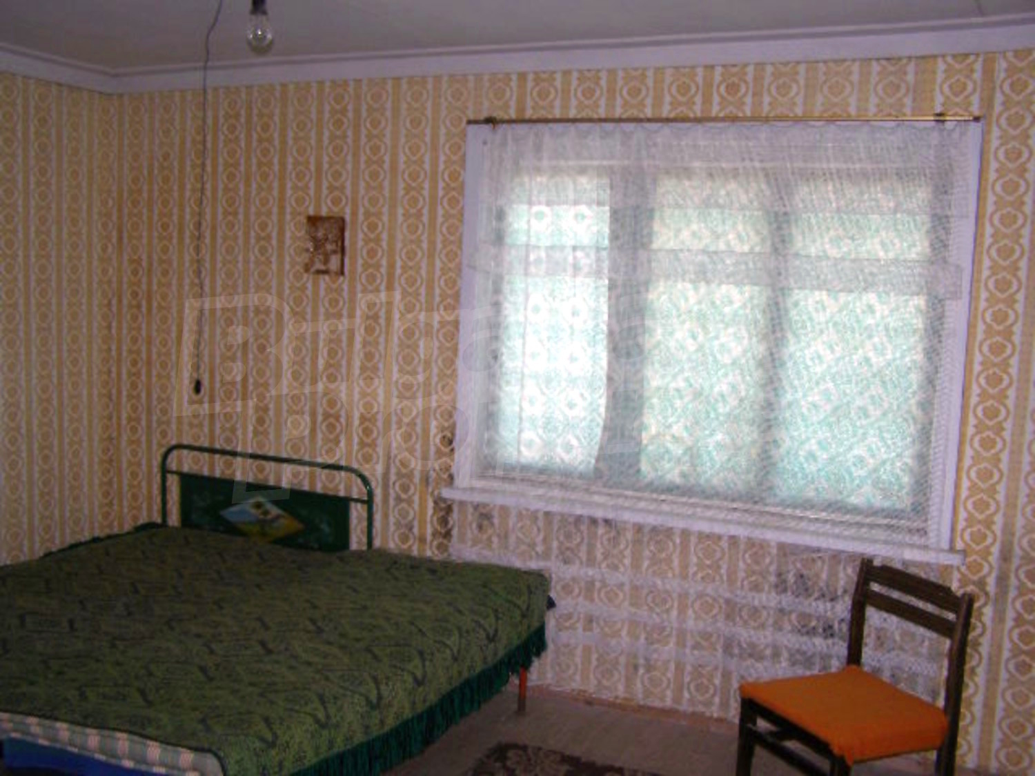 Gallery Picture 11