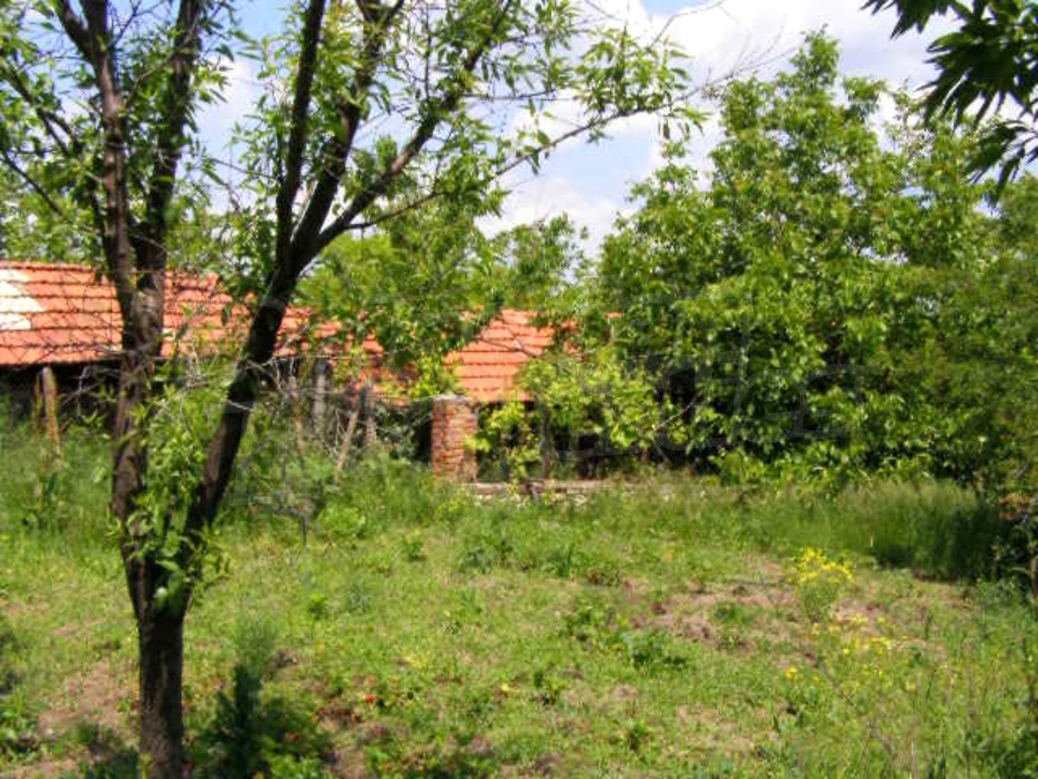 Gallery Picture 15