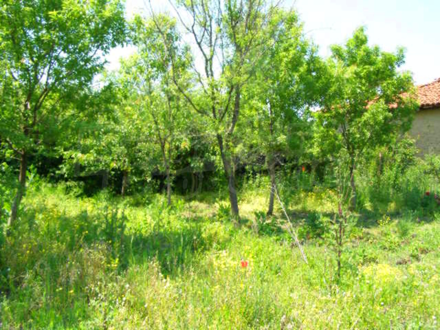 Gallery Picture 16