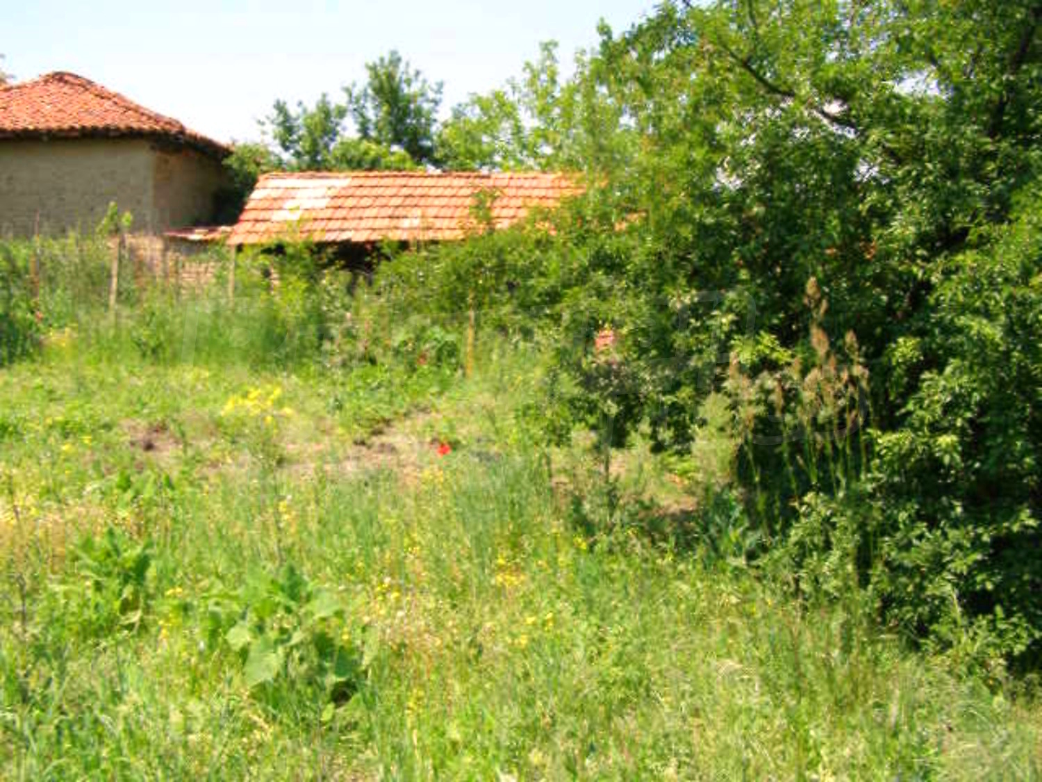 Gallery Picture 17