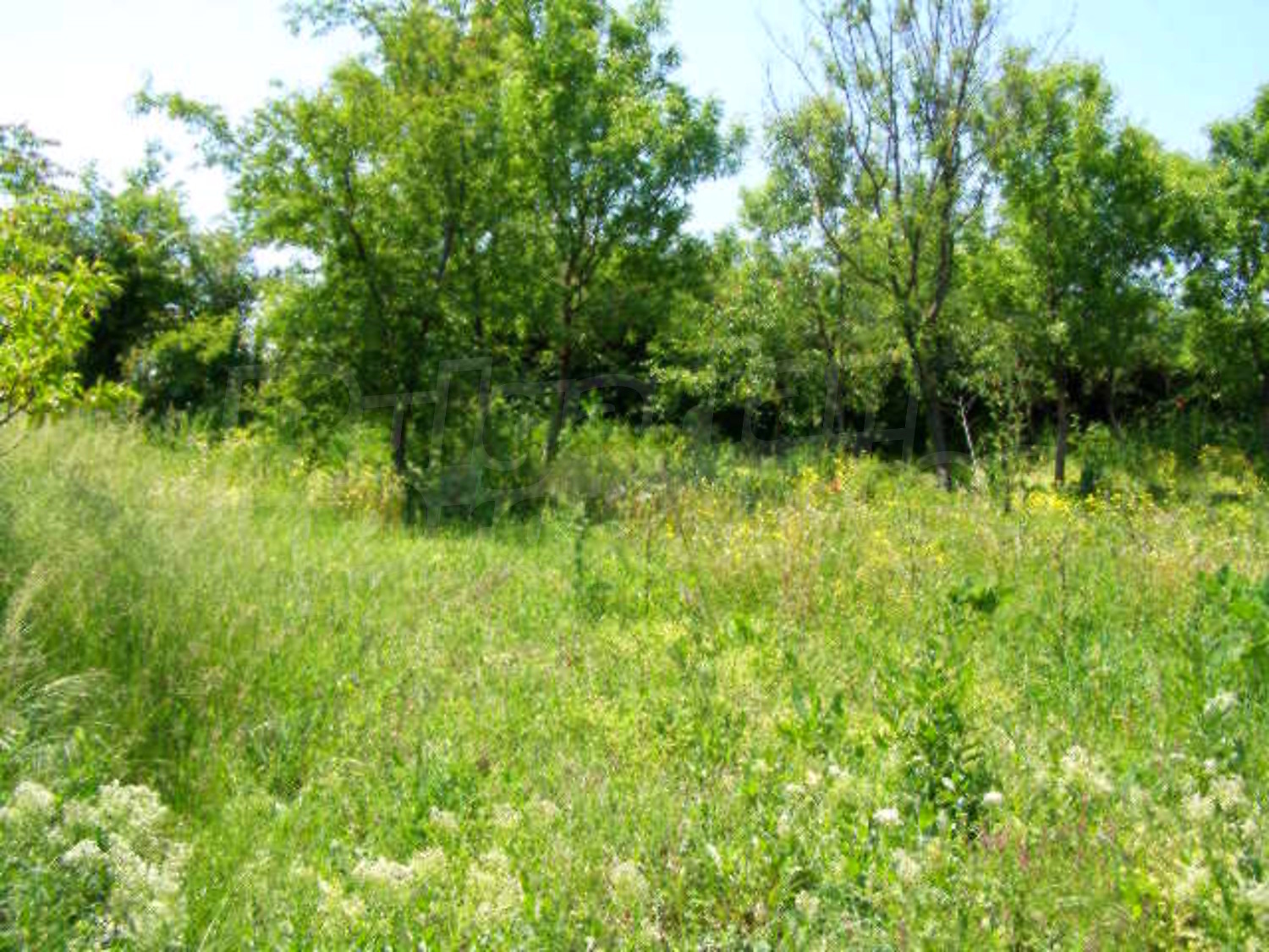 Gallery Picture 18