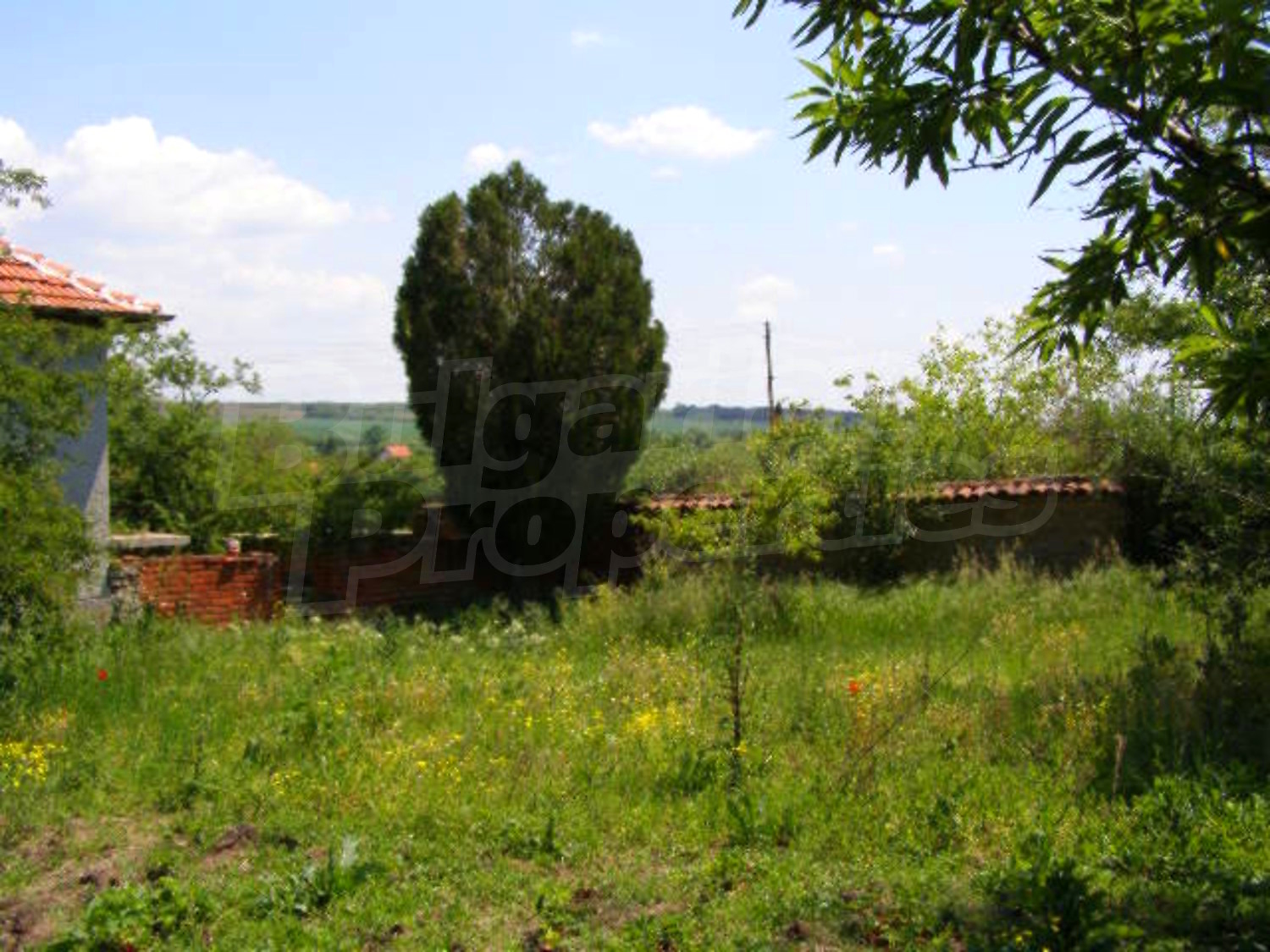 Gallery Picture 20