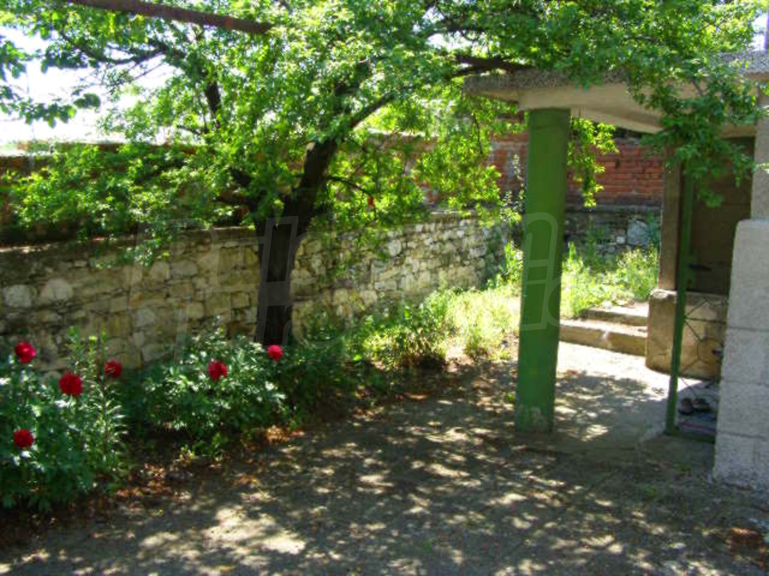 Gallery Picture 21