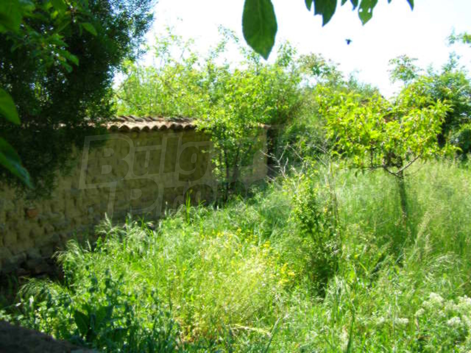 Gallery Picture 22