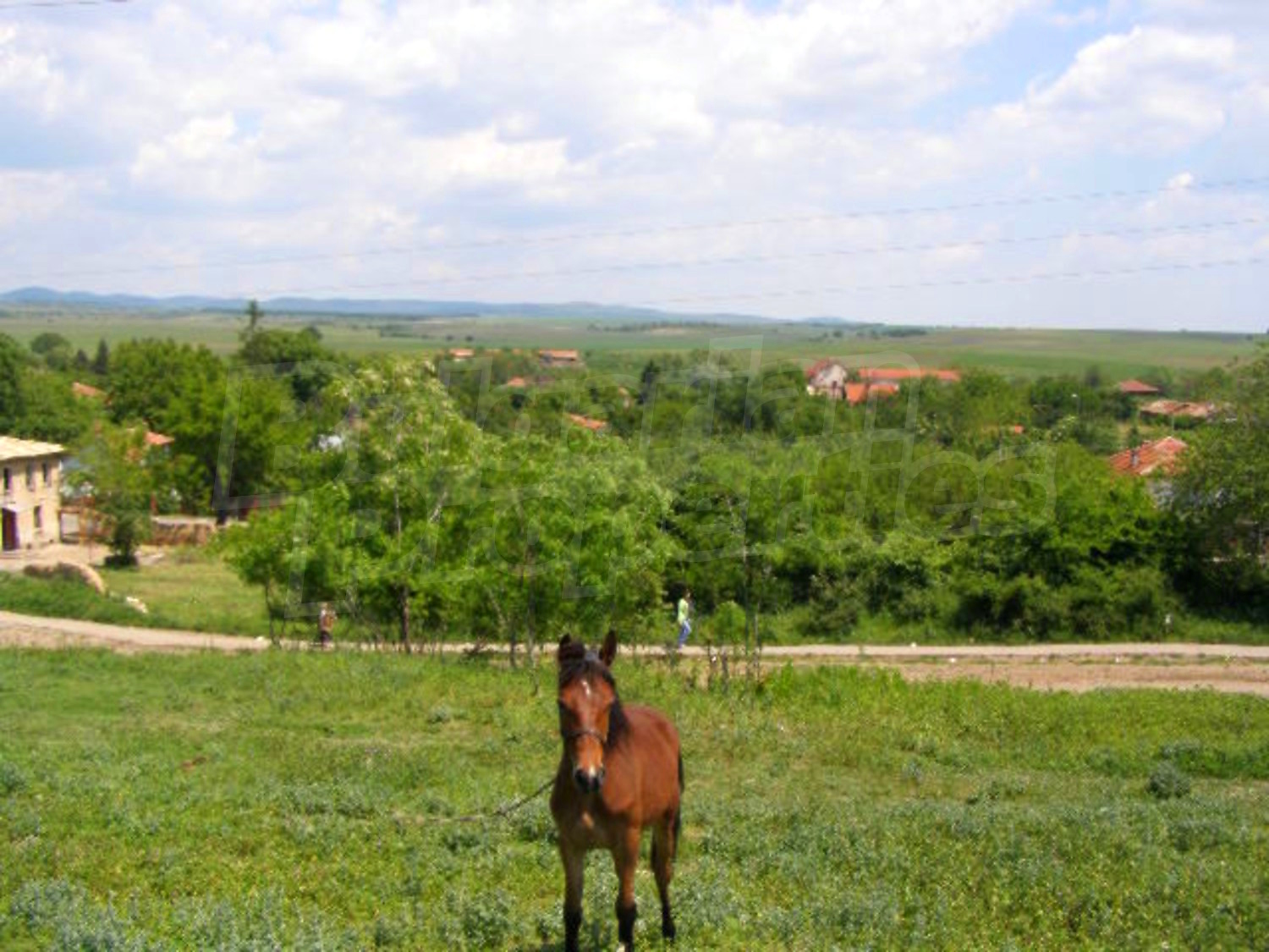 Gallery Picture 25