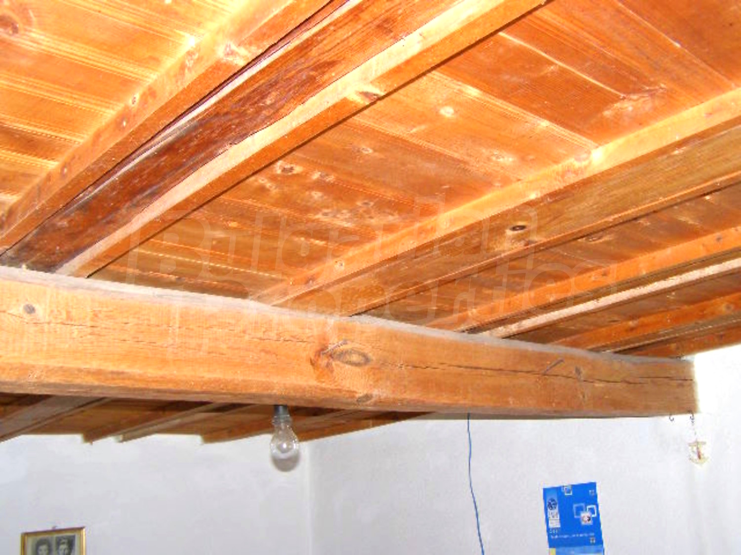 Gallery Picture 6