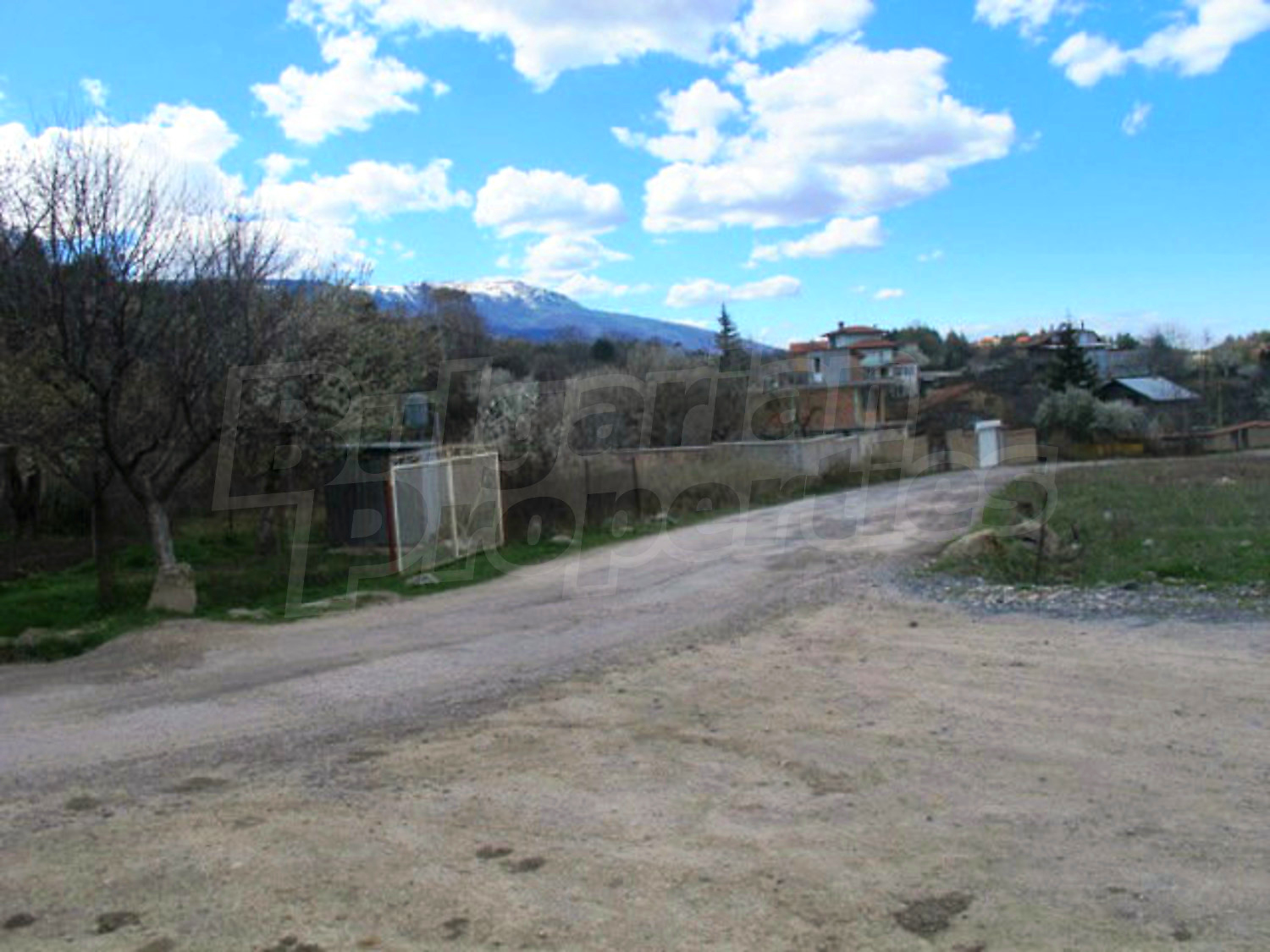 Gallery Picture 10