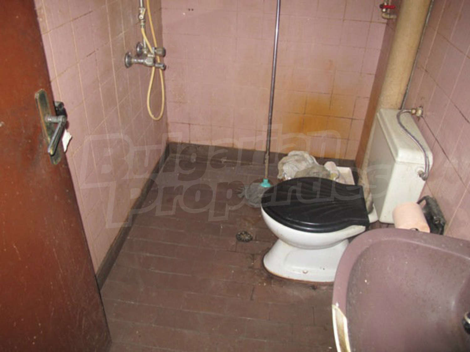 Gallery Picture 5