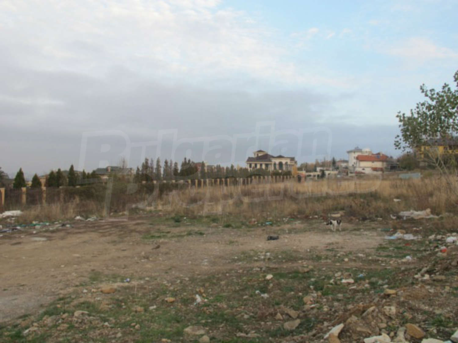Gallery Picture 4