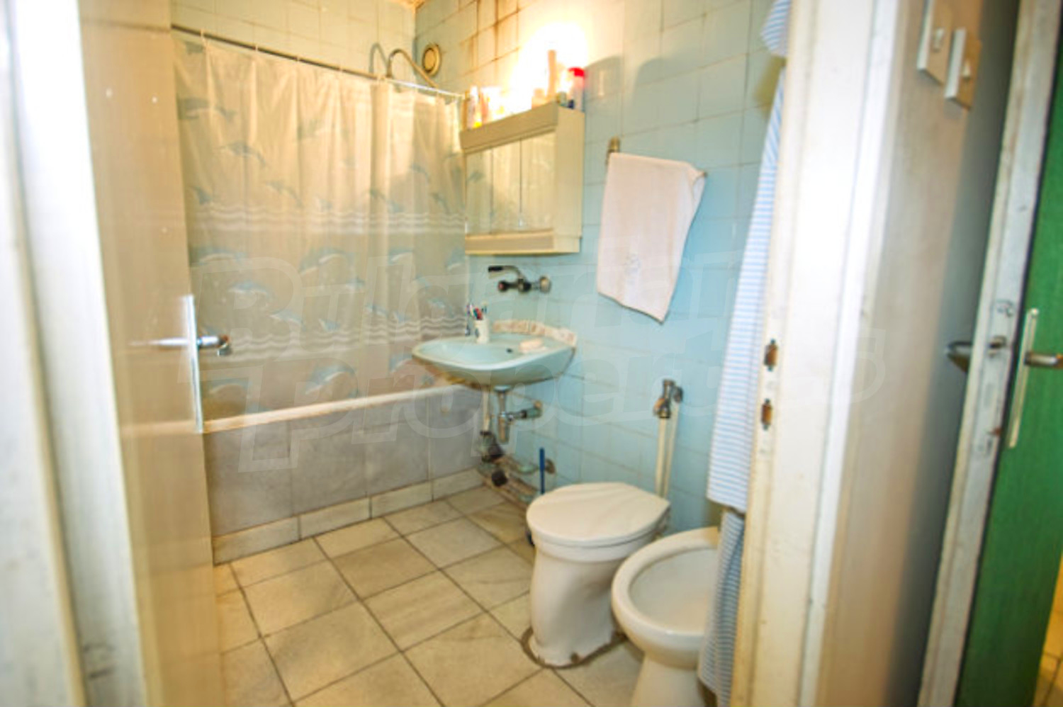 Gallery Picture 10