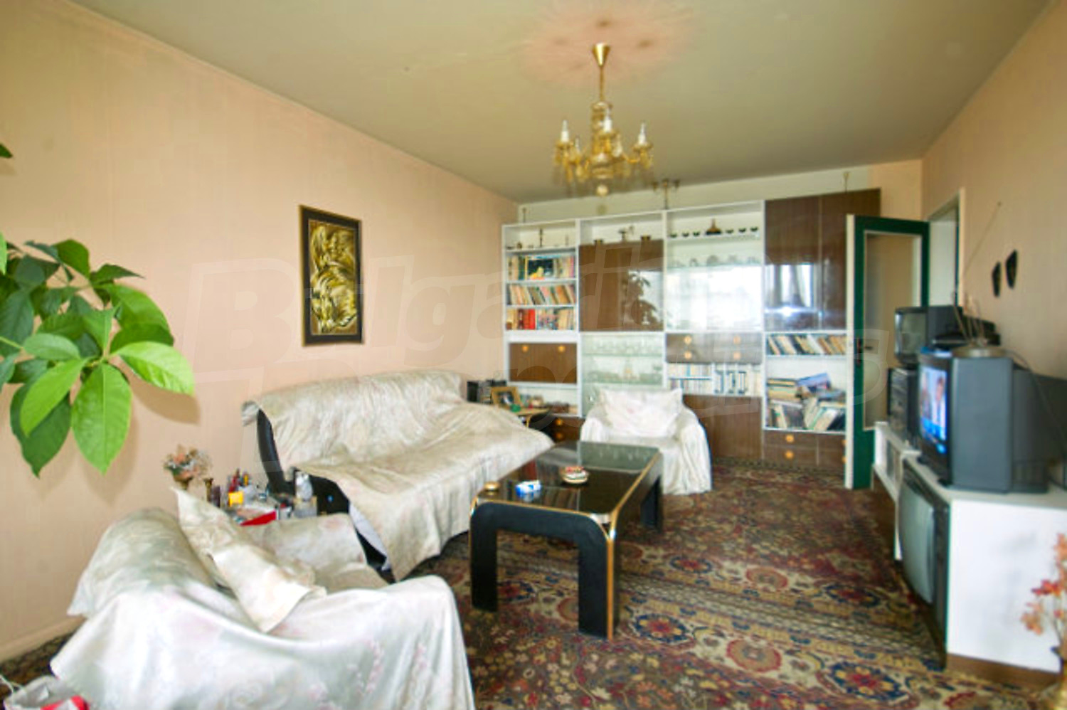 Gallery Picture 3
