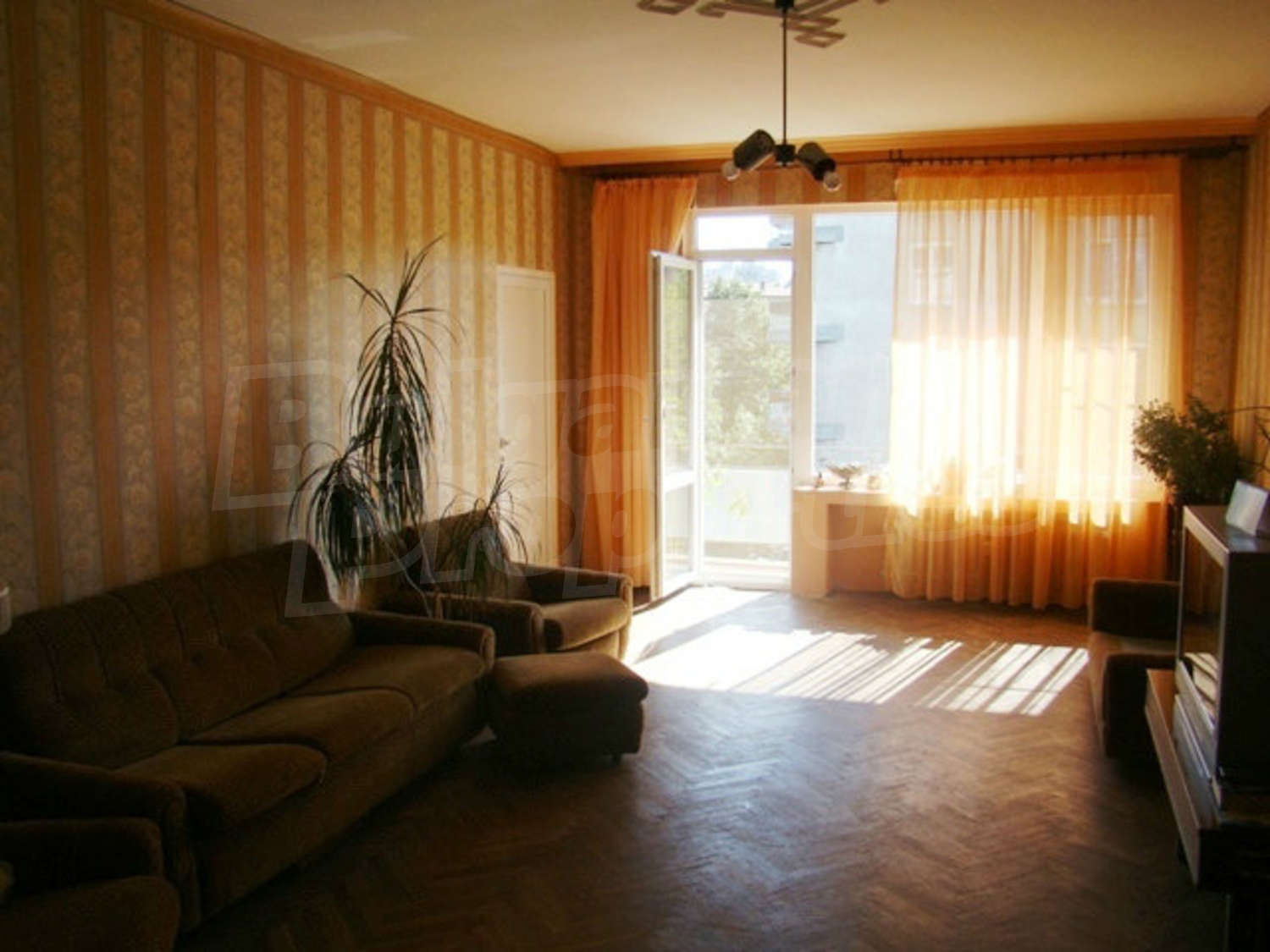 Gallery Picture 4