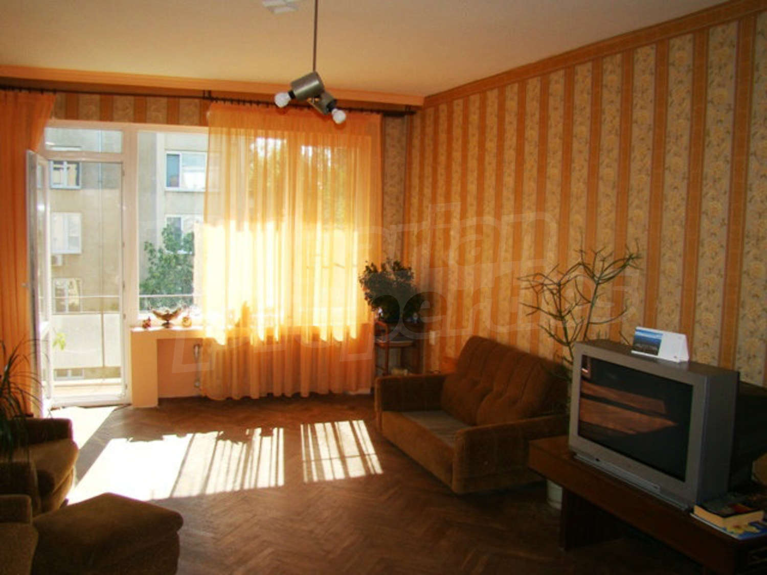 Gallery Picture 5