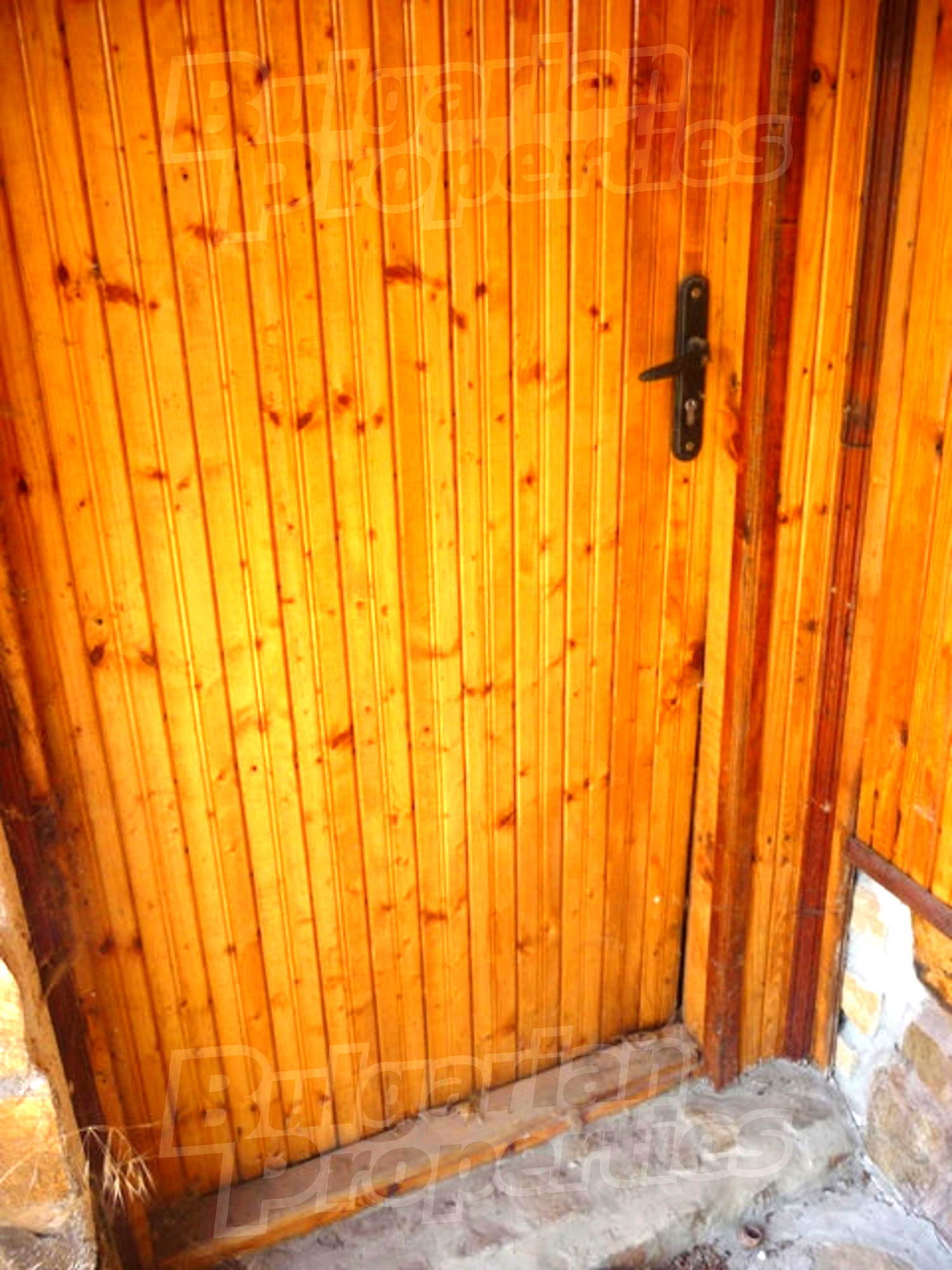 Gallery Picture 11