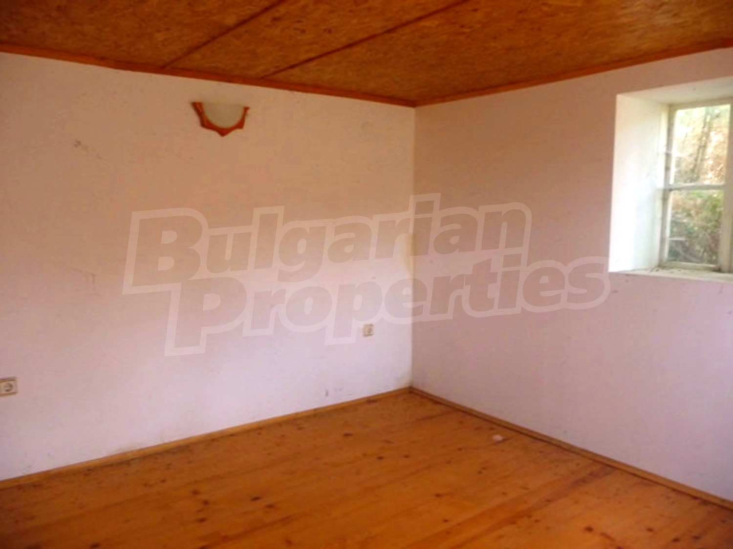 Gallery Picture 14