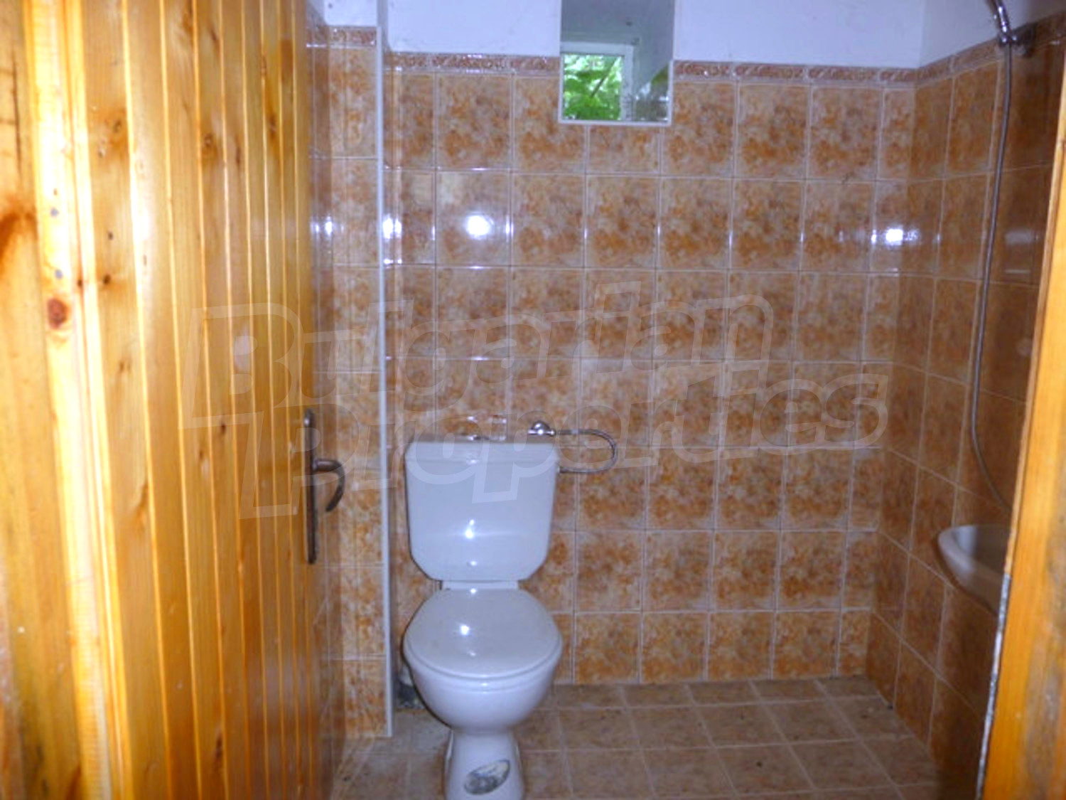 Gallery Picture 15