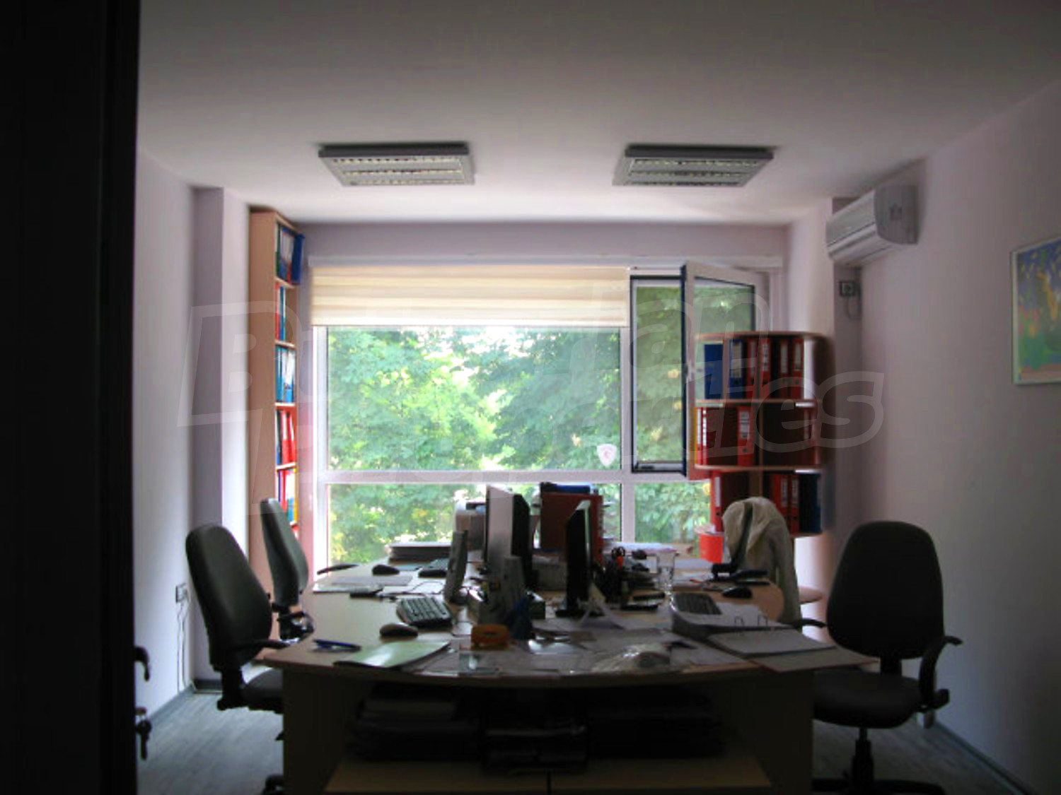 Gallery Picture 11
