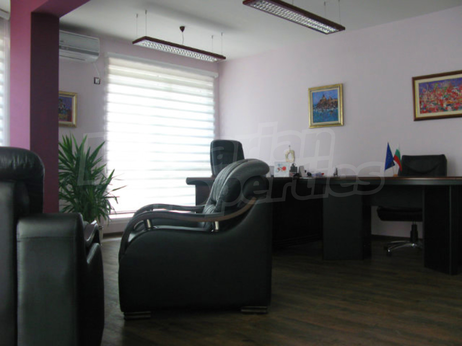 Gallery Picture 6
