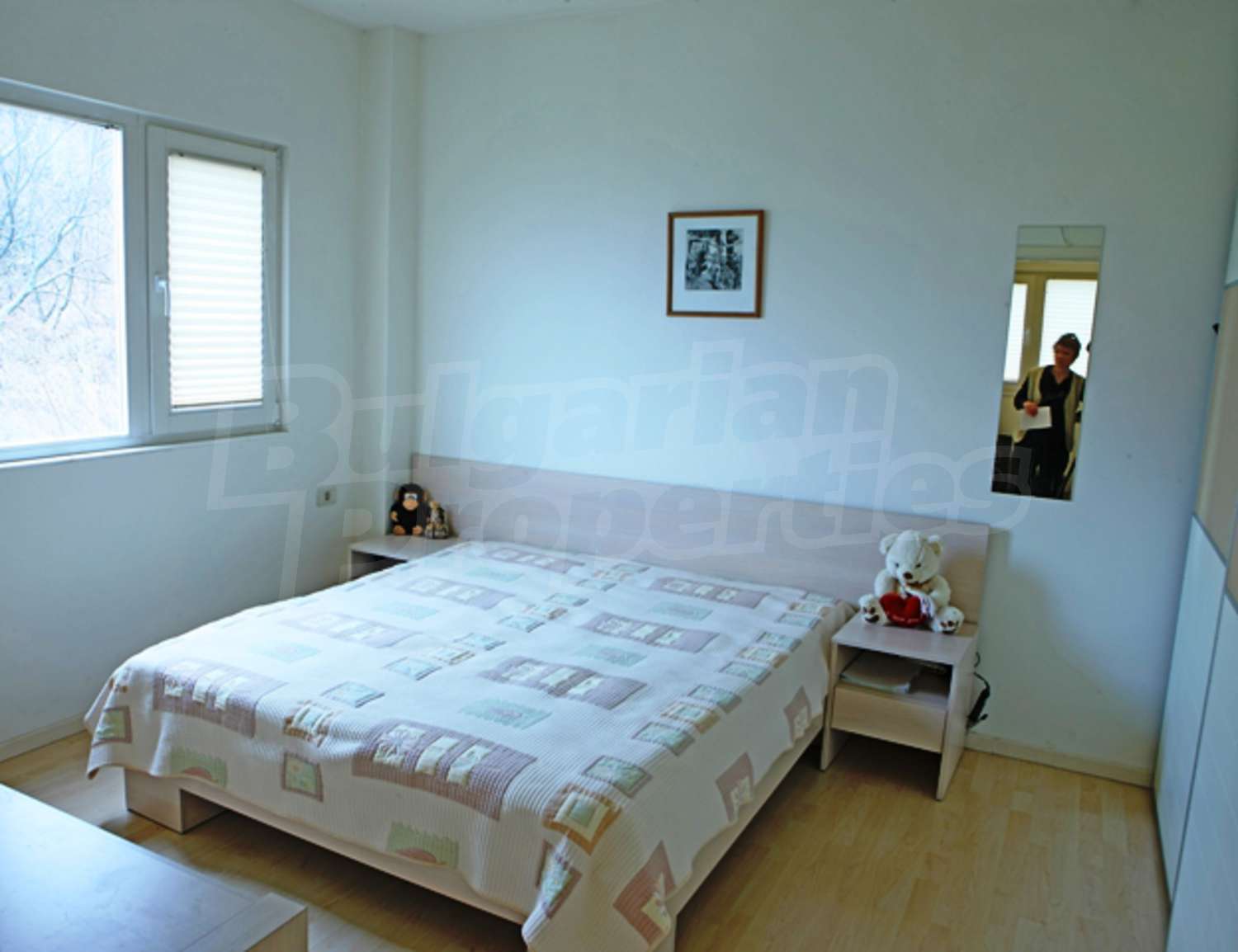 Gallery Picture 26