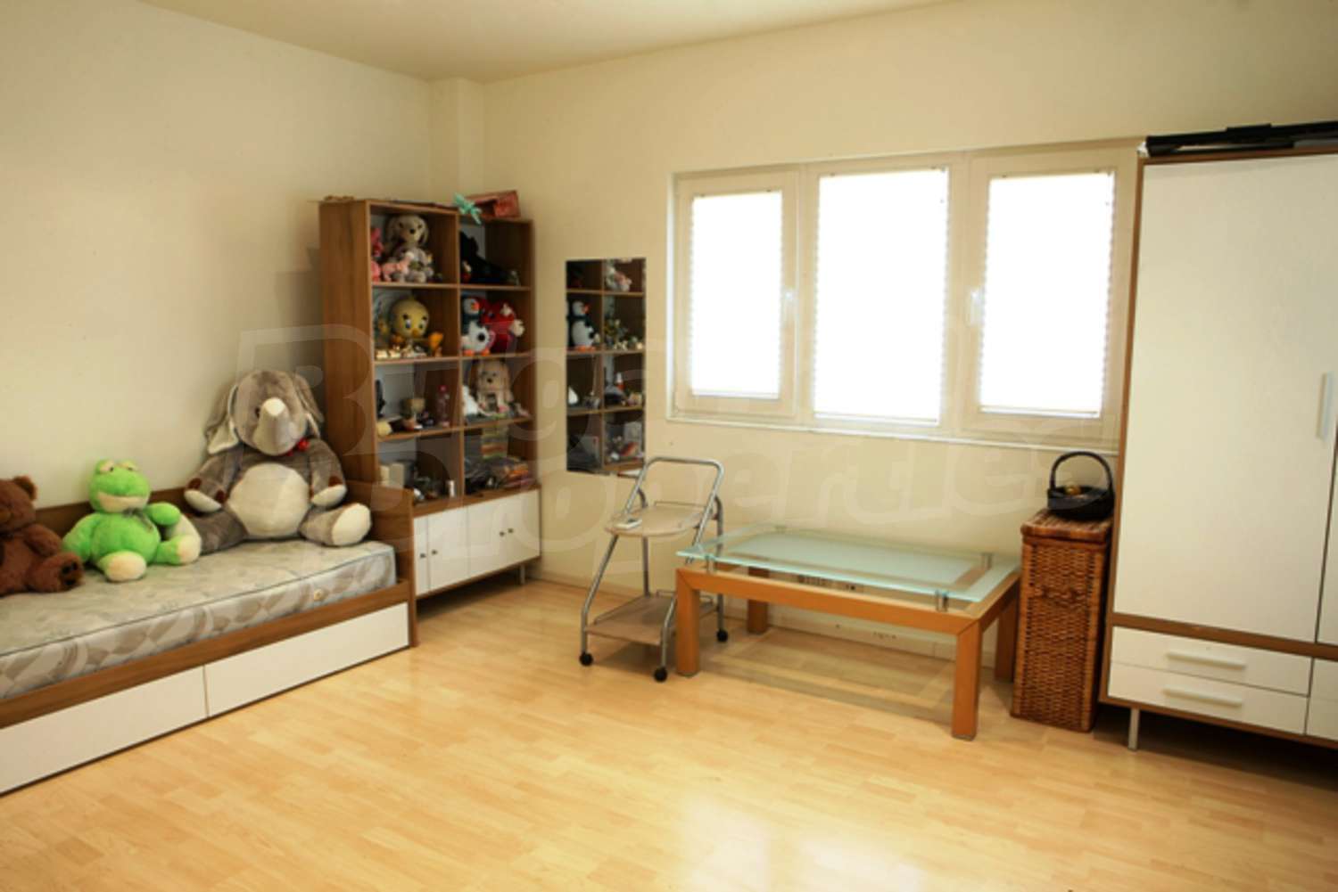 Gallery Picture 27
