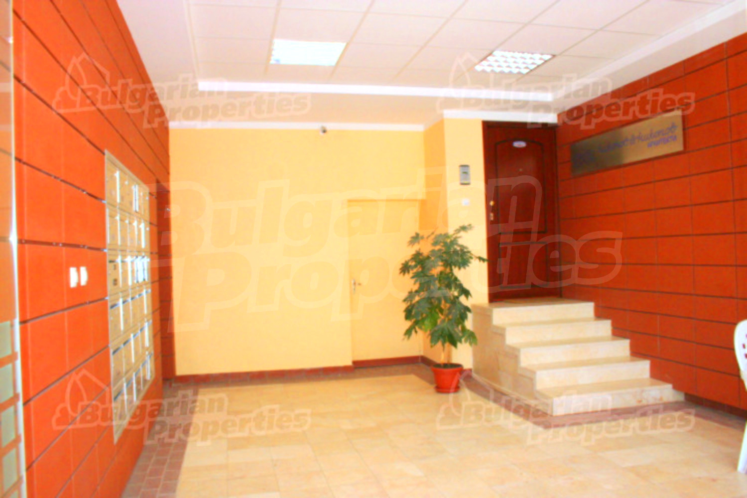 Gallery Picture 8