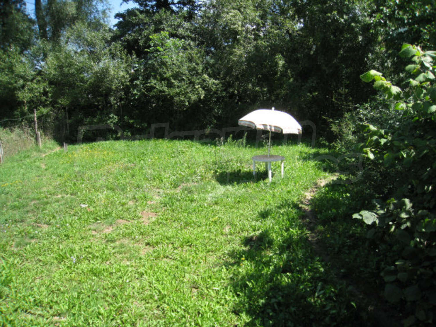 Gallery Picture 10