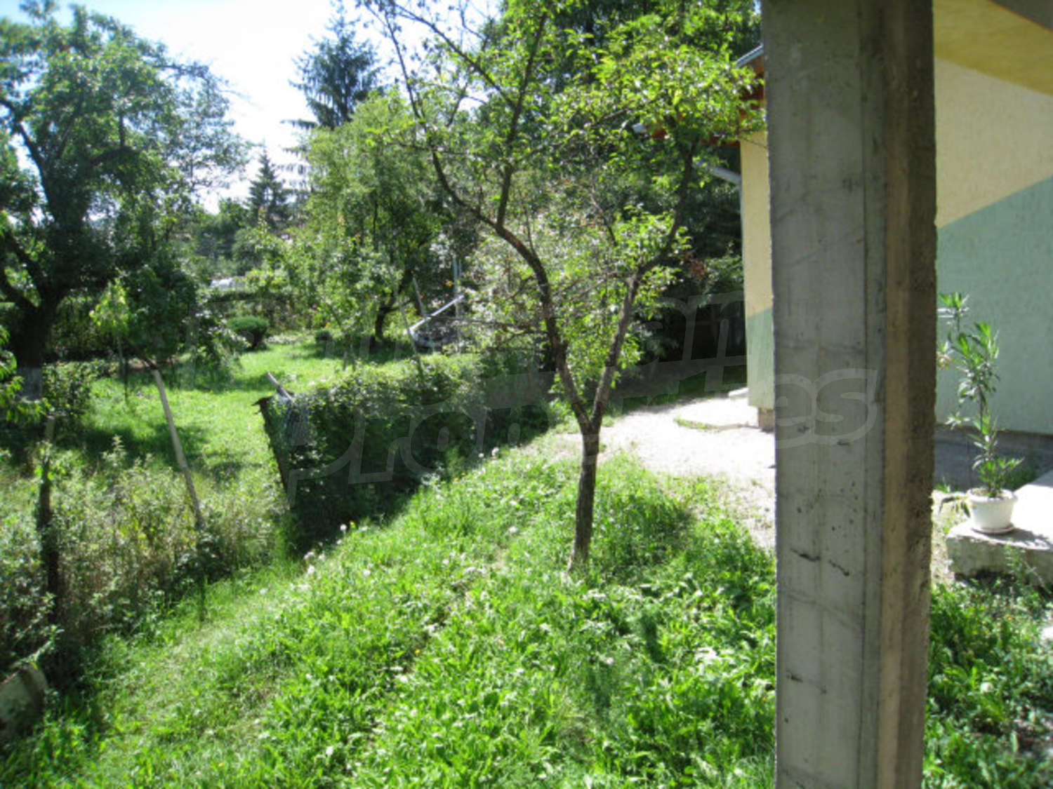 Gallery Picture 13