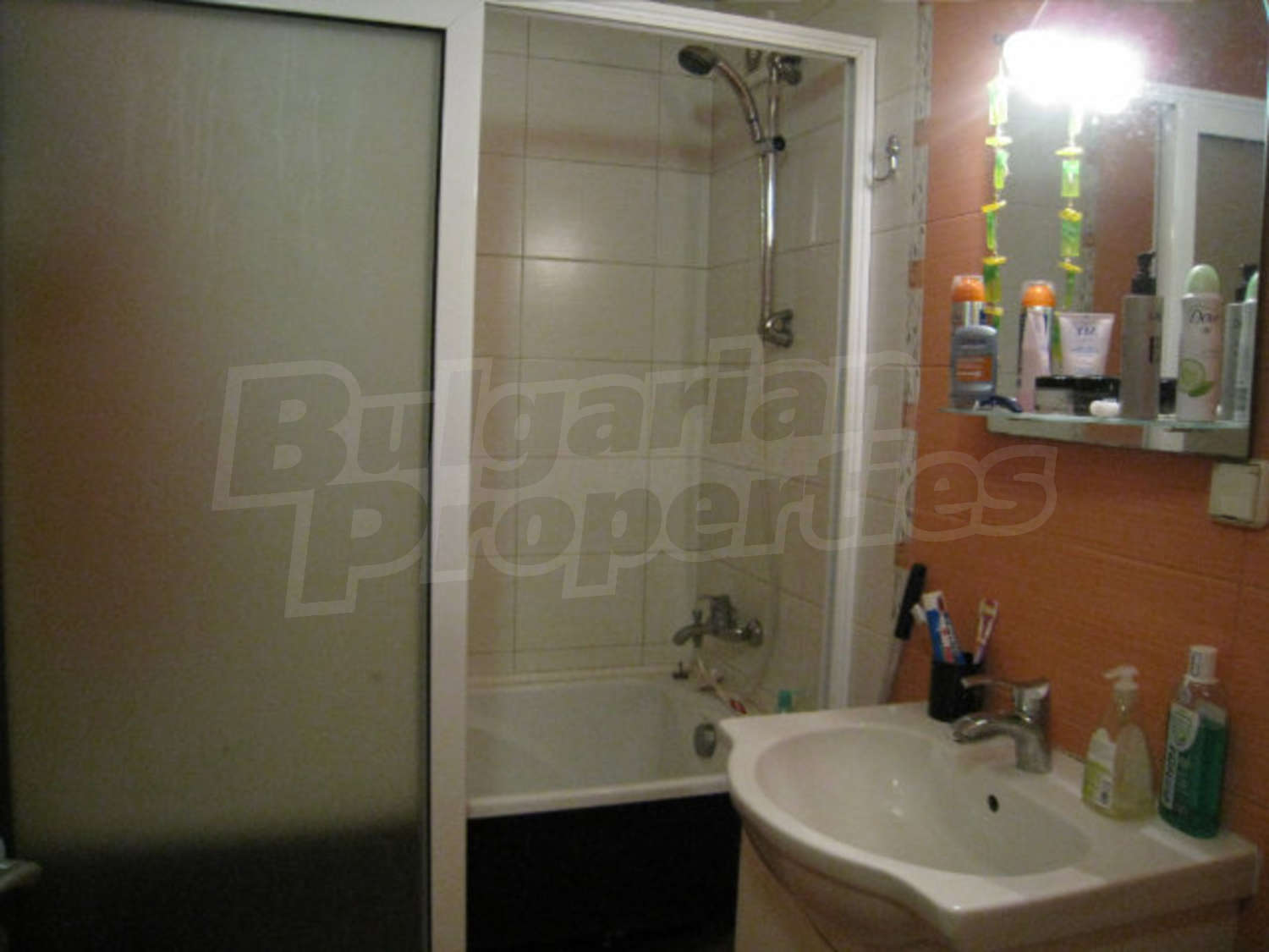Gallery Picture 19