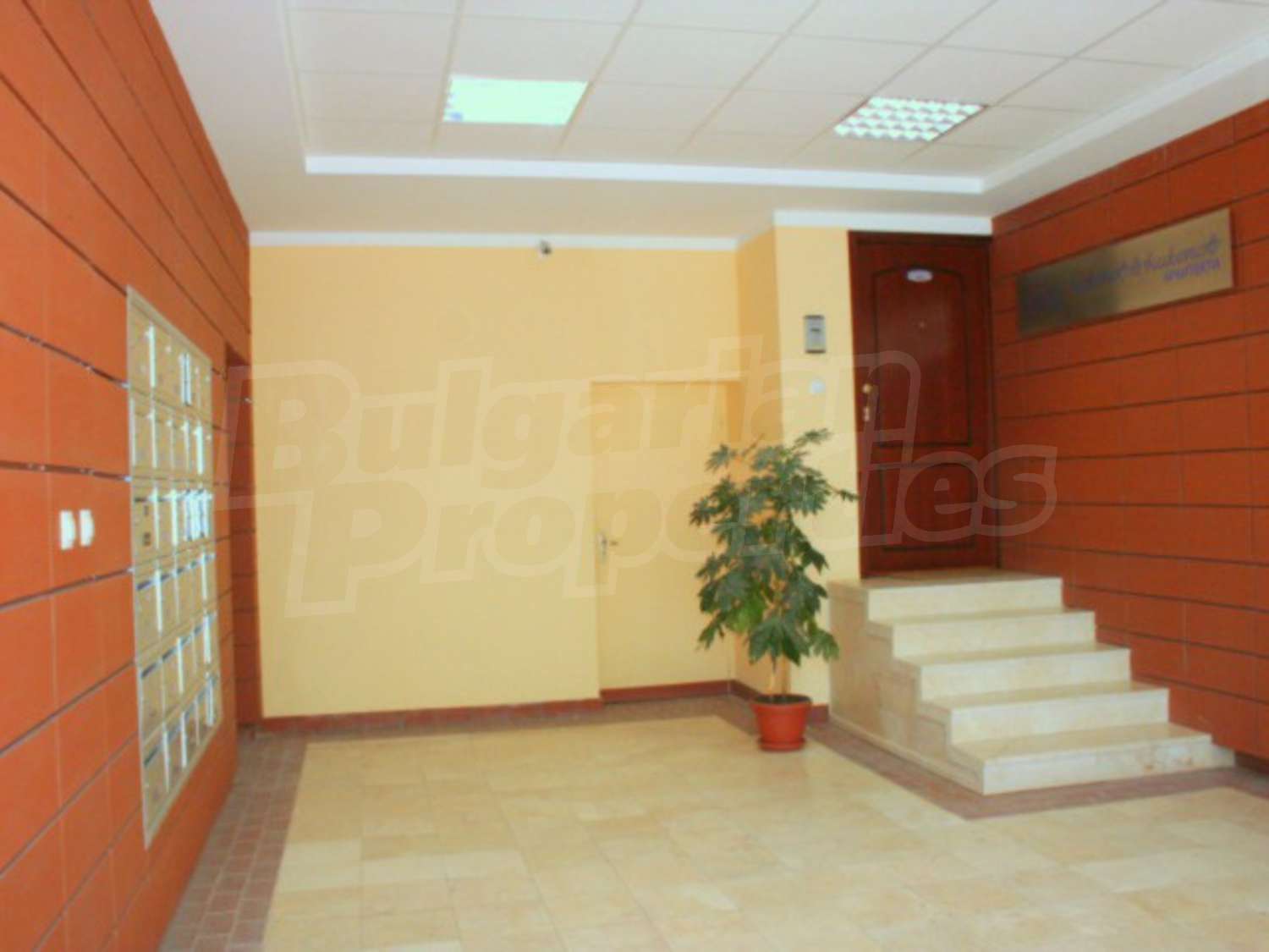 Gallery Picture 8