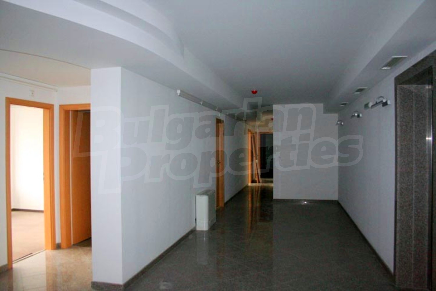 Gallery Picture 16