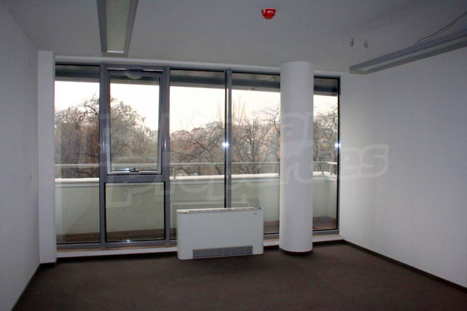 Gallery Picture 17