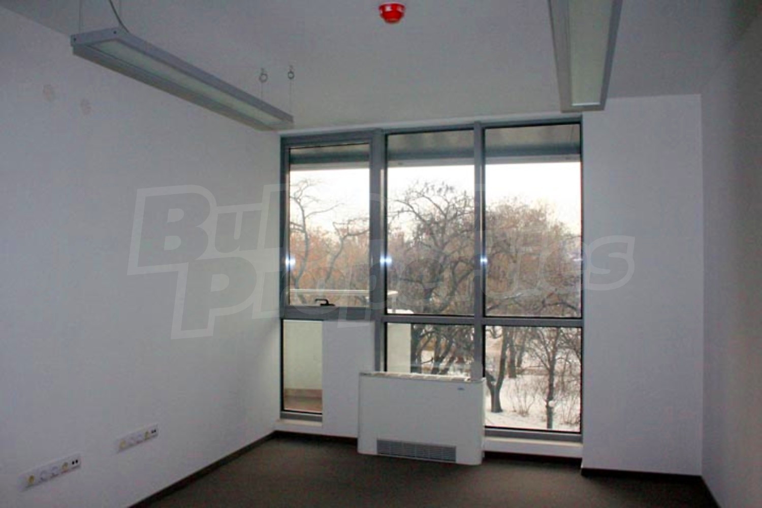 Gallery Picture 19