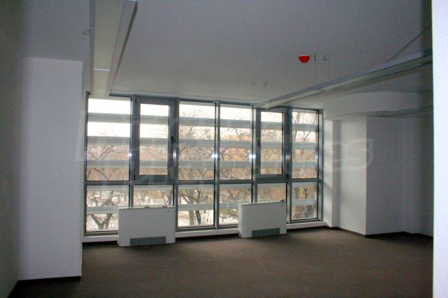 Gallery Picture 20